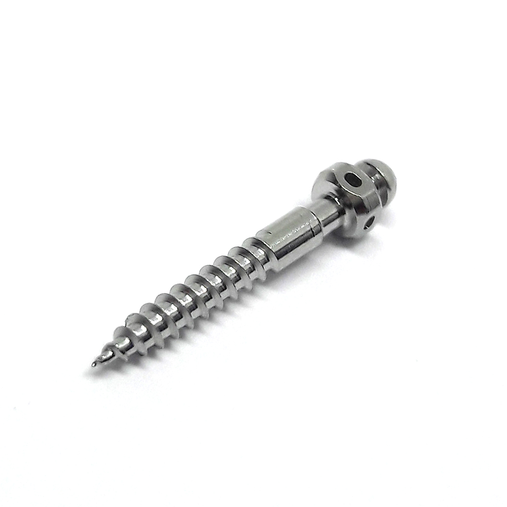 parafuso_inox_2x14mm_slot